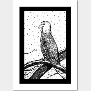 Eagle in Snow - Back Print Posters and Art